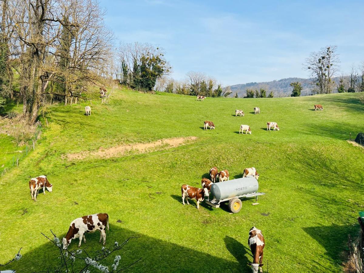Le Lodge Du Pichat Sainte-Helene-du-Lac ภายนอก รูปภาพ